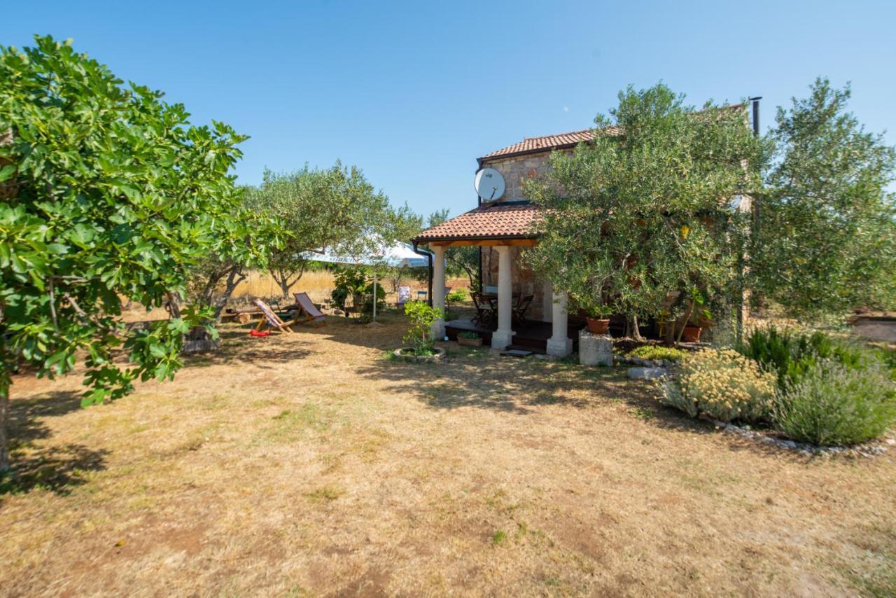 Villa Flaveico Pasman Ngoại thất bức ảnh